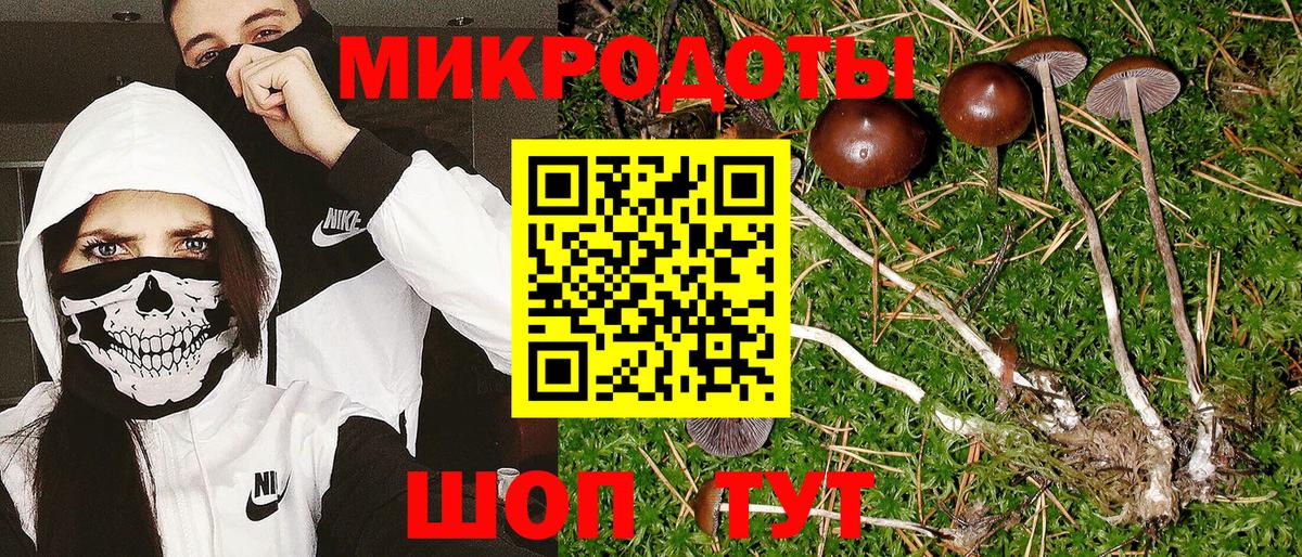 Галлюциногенные грибы мухоморы  Вход с VPN  Волоколамск 
