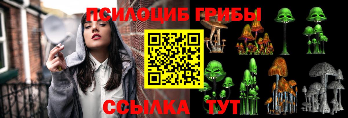 Галлюциногенные грибы Cubensis Волоколамск